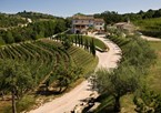 Kabola Winery, Istria