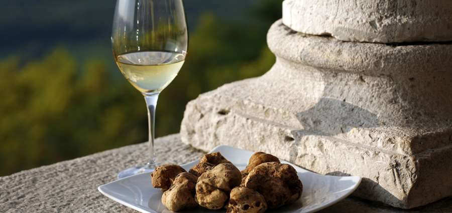White truffles from Istria, Croatia