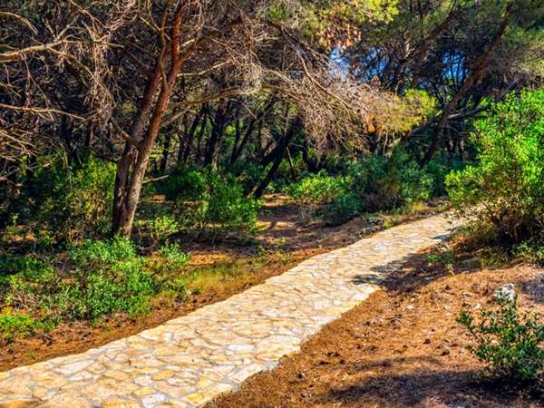 Pathway in National Park Mljet