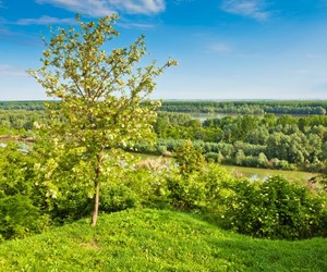 View at Danube river from Ilok, Croatia