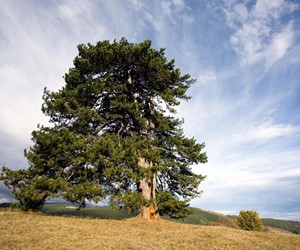 Gorski Kotar landscape, Croatia
