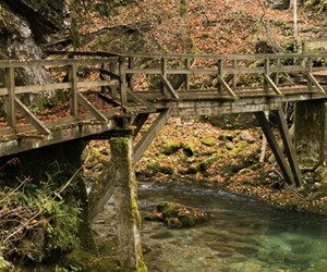 A bridge near Kamacnik village in Gorski Kotar