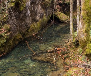 Creek near kamacnik village in Gorski Kotar