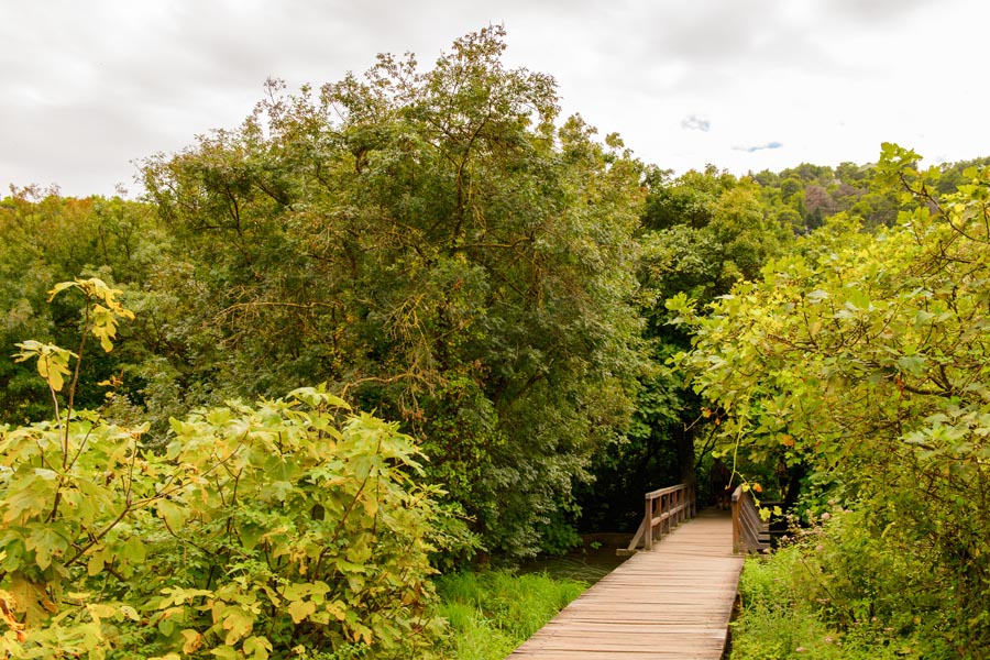 Boardwalk trough forest in Krka NP