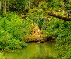 Nature at Krka National Park