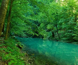 Risnjak National Park and Kupa river, Gorski Kotar
