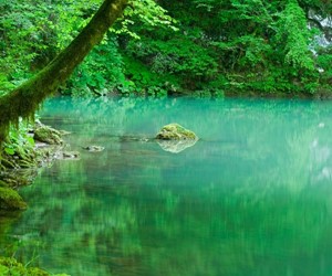 The source of Kupa river in Risnjak National Park