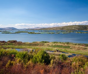 Hutovo Blato Nature Park, Bosnia and Herzegovina
