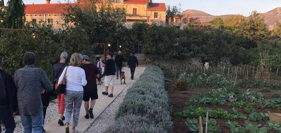 Guests exploring the gardens at Novakovic House