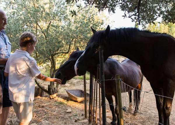 Gastronomy Experience in Dubrovnik Countryside