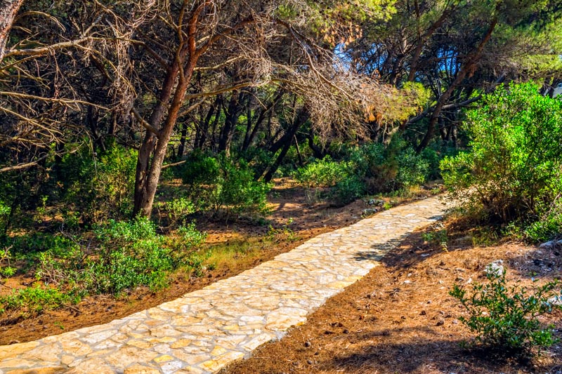 Pathway in National Park Mljet