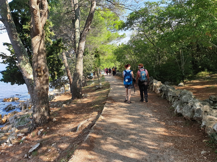 Camino Krk path