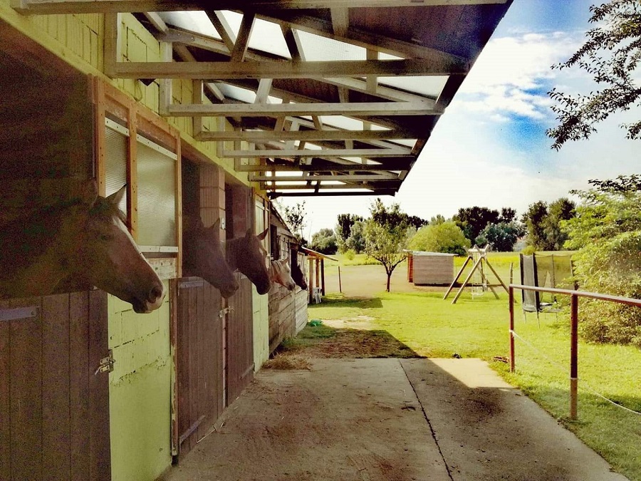 Horse Ranch in Osijek