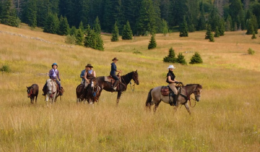 Horseback riding in Lika