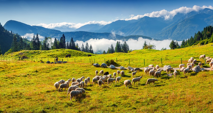 Triglav National Park